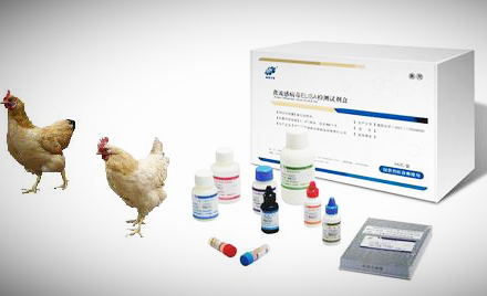 动物免疫诊断列检测试剂盒
